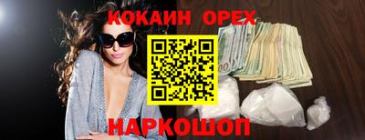 СК Новодвинск