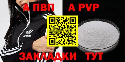 СК Новодвинск