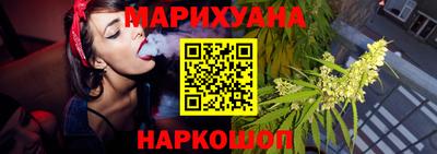 СК Новодвинск