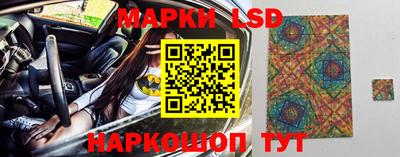 СК Новодвинск