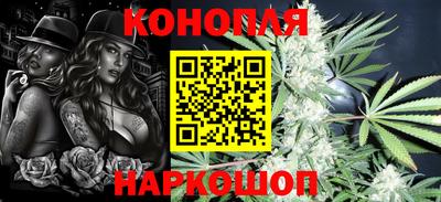СК Новодвинск