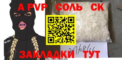 СК Новодвинск