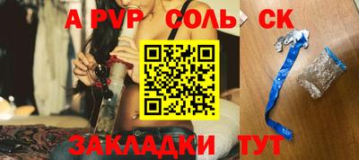 СК Новодвинск