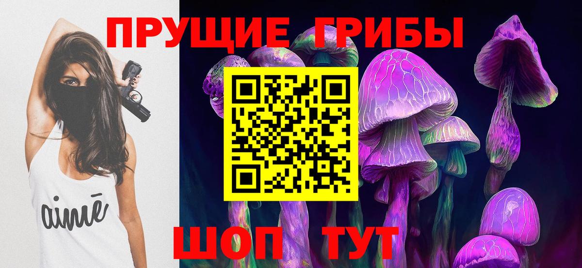Галлюциногенные грибы прущие грибы Солнечногорск